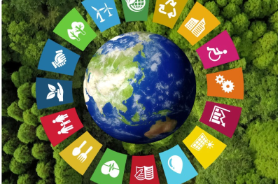 Nurturing Soft Skills for Sustainable Impact